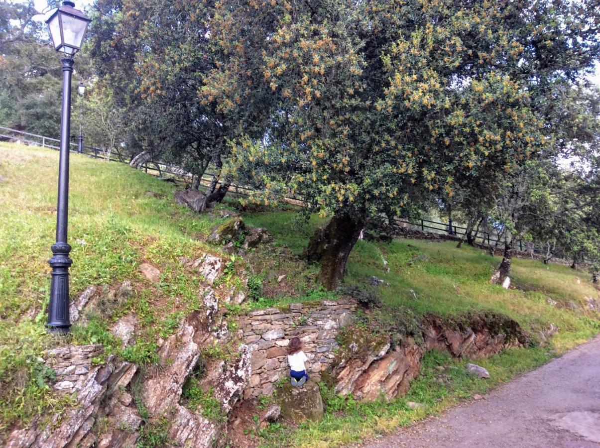 Casa Mandarina Aracena Villa Eksteriør billede
